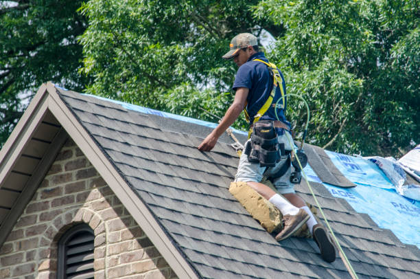 Best Commercial Roofing Services  in New Boston, TX